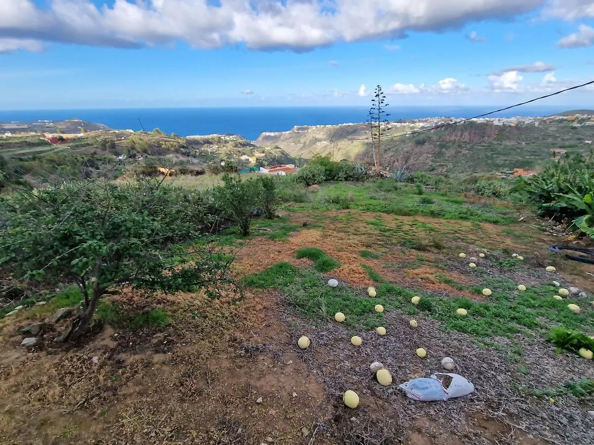 Holiday home The Musician'S House Villa Santa Maria de Guia de Gran Canaria