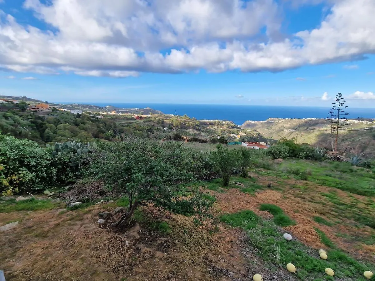 The Musician'S House Villa Santa Maria de Guia de Gran Canaria